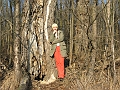 IMG_0064a
