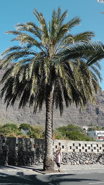 S1150007.JPG - La Gomera 2011