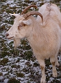 CONVAR374