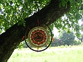 Vegi_fest-7